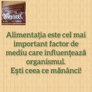 Procesul alimentar in IET 211 ” Voinicel”, str.Igor Vieru 3/2