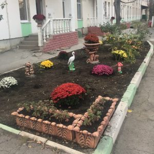 Intrarea în instituție renovată în toamna anului 2018