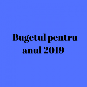 Bugetul 2019