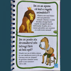 Curiozități. De ce?