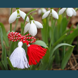 Mesajul de felicitare cu prilejul sosirii primăverii din partea șefului DETS Ciocana, dl. Valeriu ROTARU